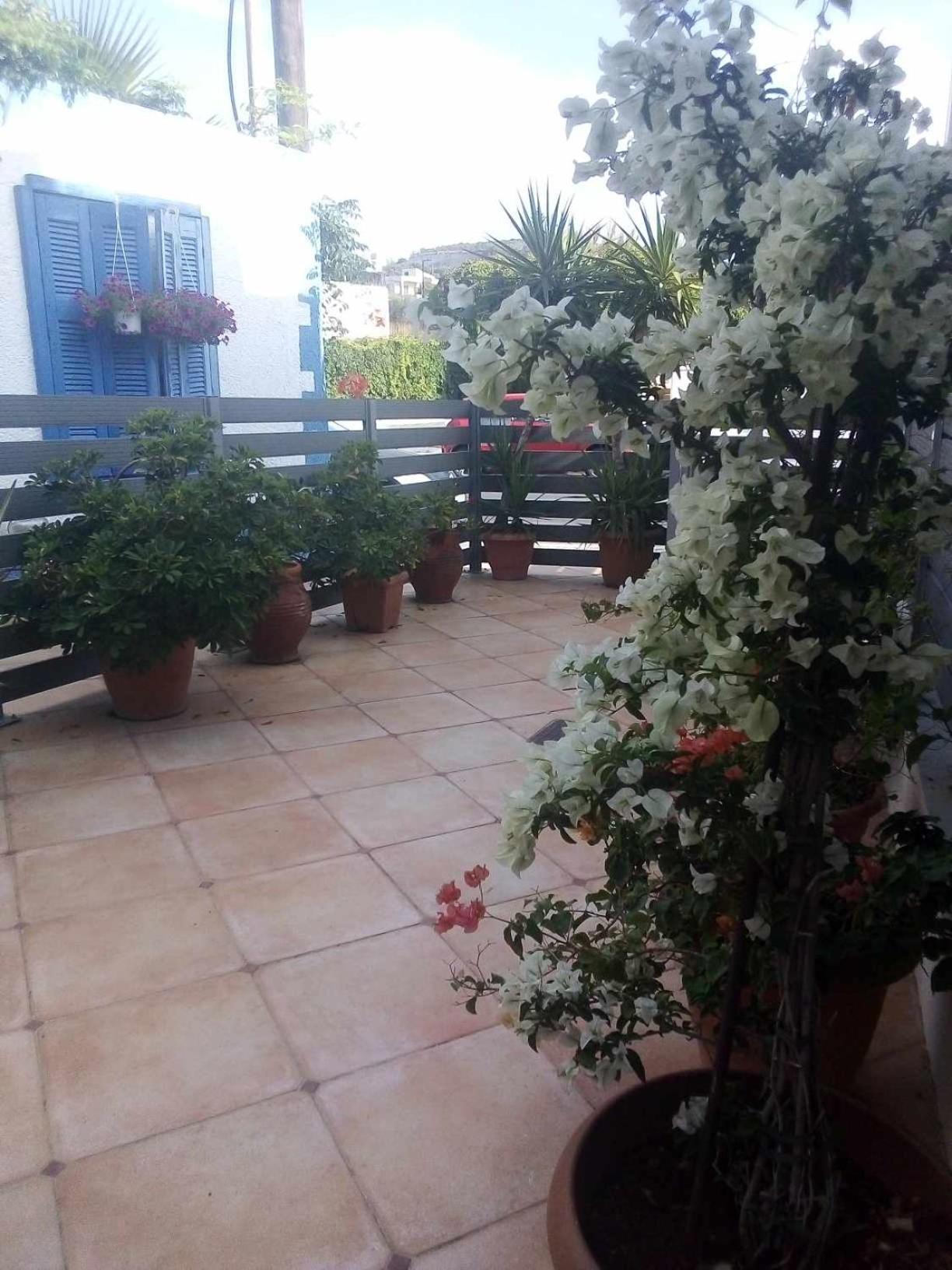 The Getaway Agia Marina Exterior foto
